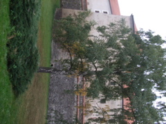 DSCF1614