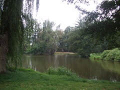 DSCF1615