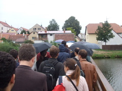 DSCF1629