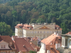 DSCF1437