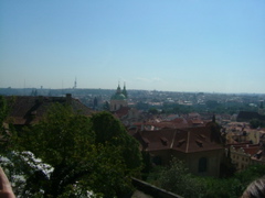 DSCF1438