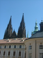 DSCF1445