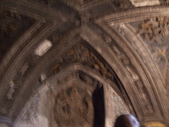 DSCF1649