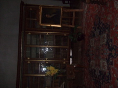 DSCF1652