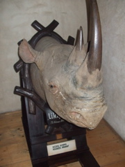 DSCF1657