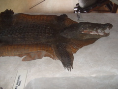DSCF1658
