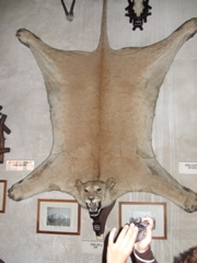 DSCF1659