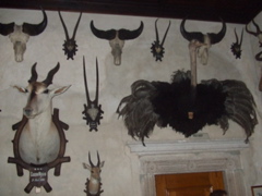 DSCF1660