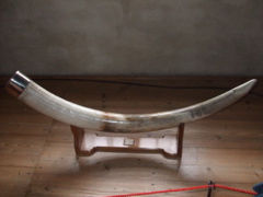 DSCF1662
