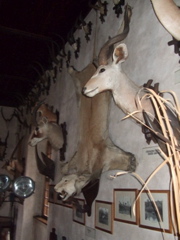 DSCF1663